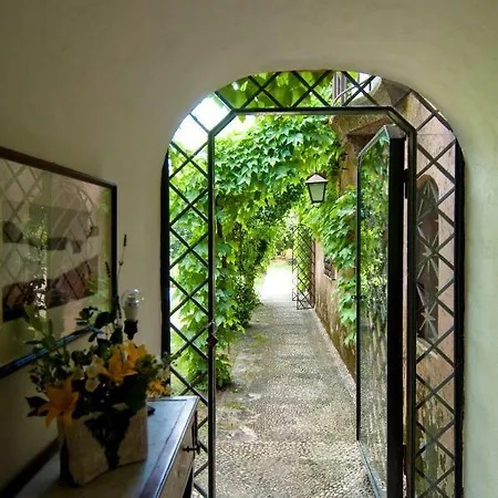 Edera Viagrande