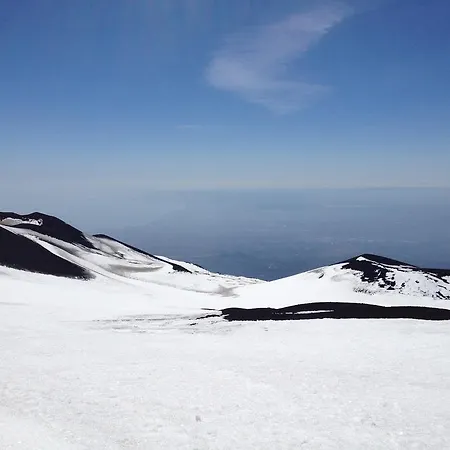 Edera Viagrande