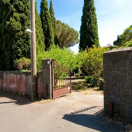 Edera * Viagrande