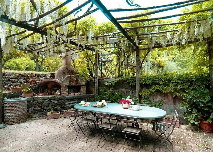 Edera * 维格兰德