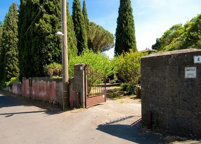 Edera * 维格兰德