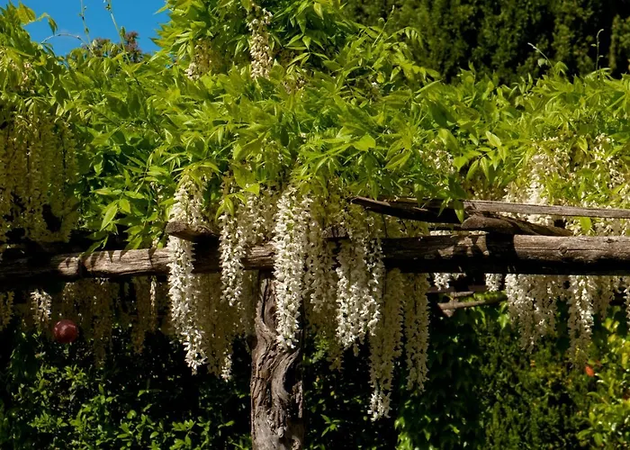 别墅 Edera 维格兰德