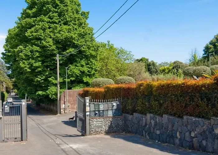 Edera * 维格兰德